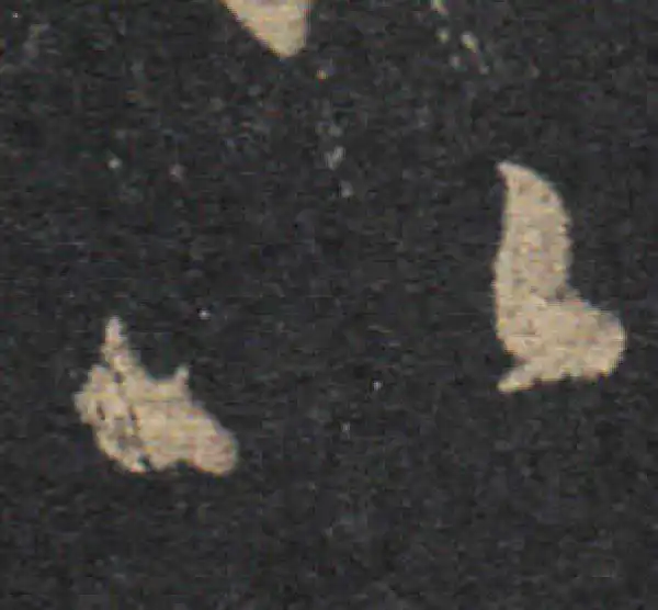 王羲之·草书·以