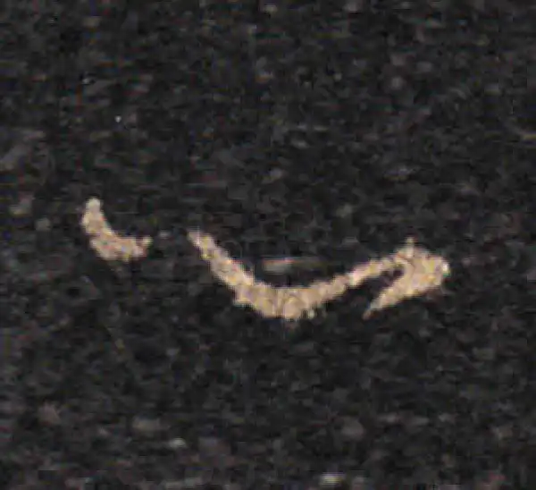 王羲之·草书·心