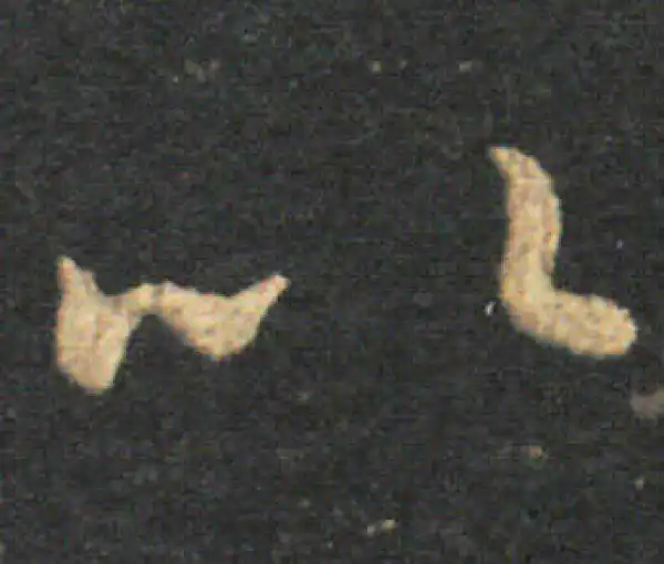 王羲之·草书·以