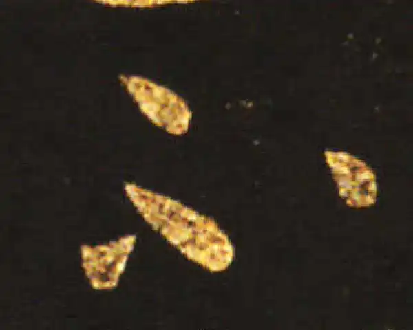 王献之·草书·不