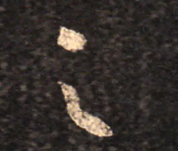 王羲之·草书·足