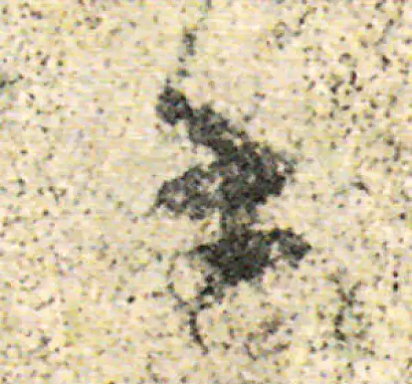 杨凝式·草书·手