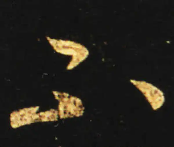 王献之·草书·不