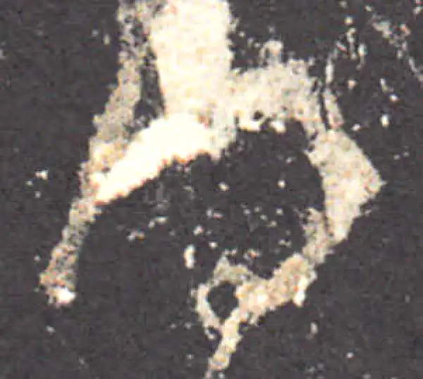 王羲之·草书·得