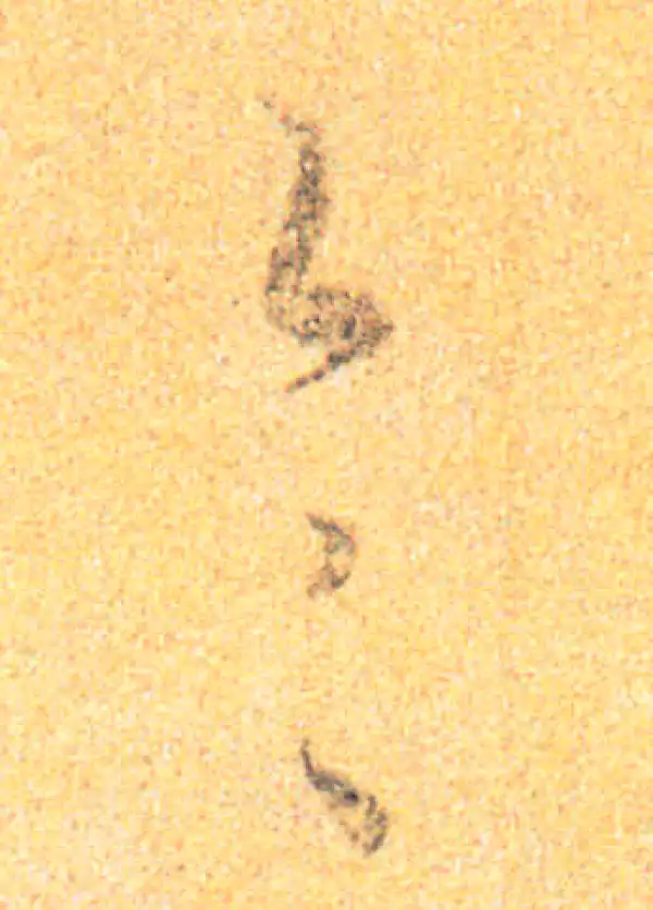 王羲之·草书·不