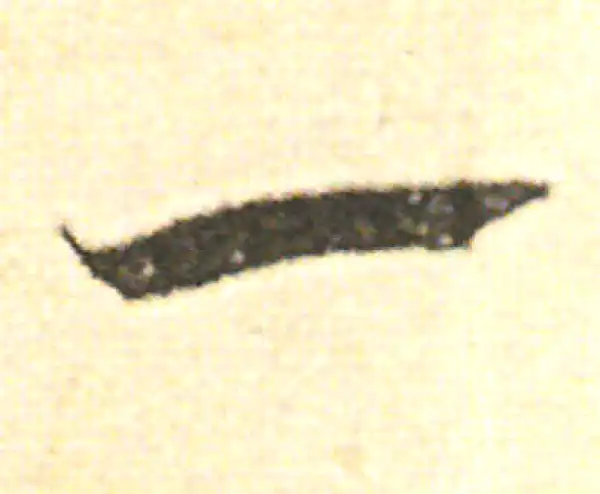 范成大·草书·一