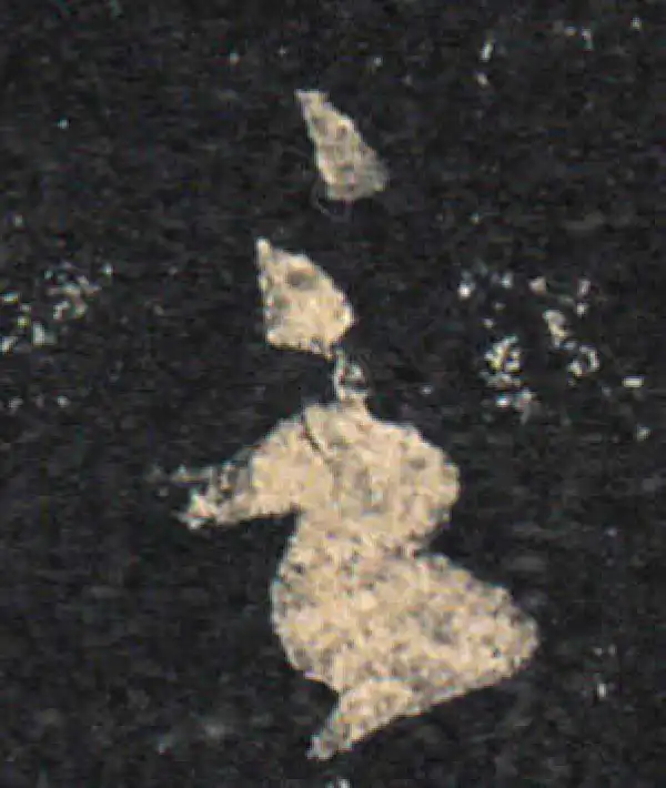 王羲之·草书·言