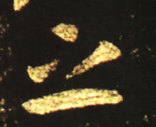 王献之·草书·之