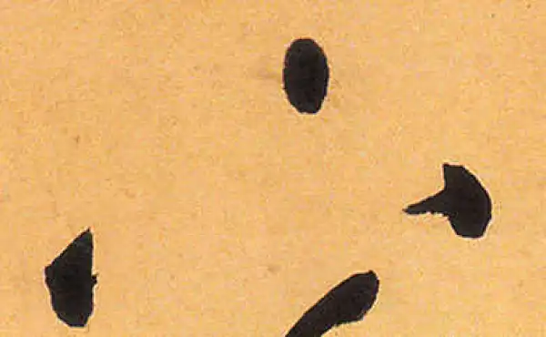 祝允明·草书·下