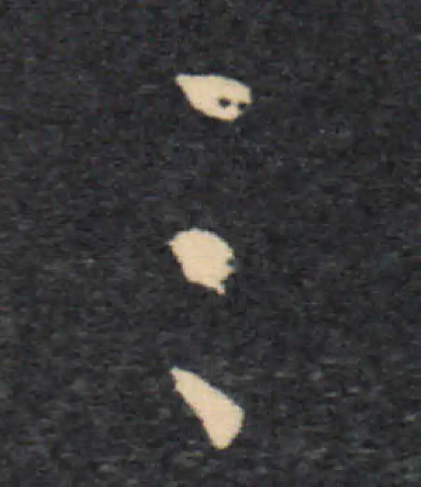 王羲之·草书·三