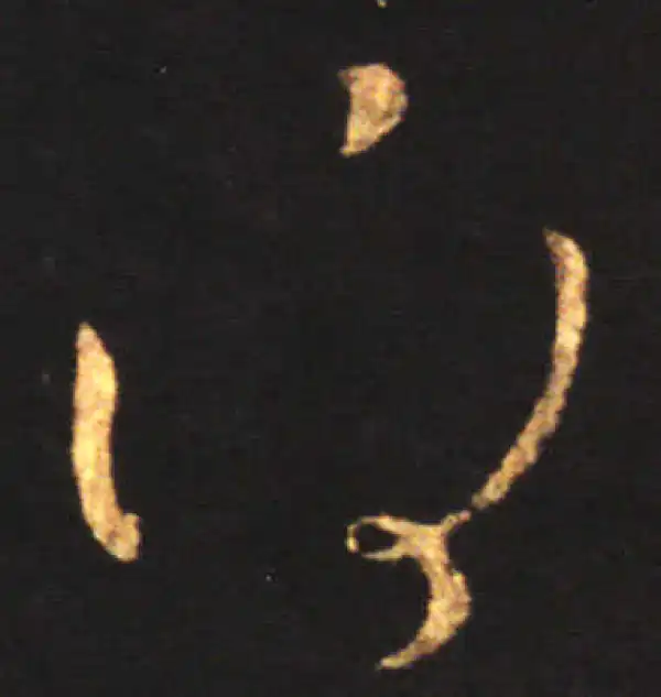 王献之·草书·得