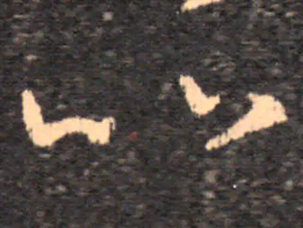 王羲之·草书·齔