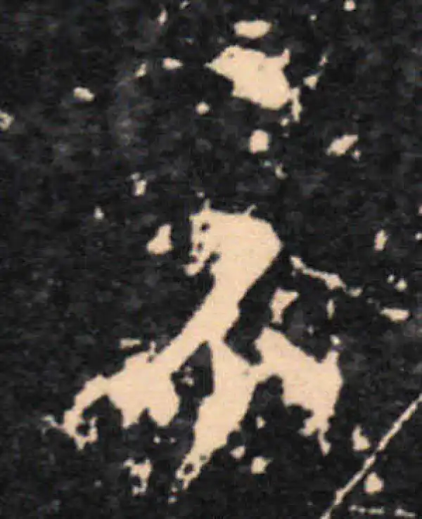 王羲之·草书·示