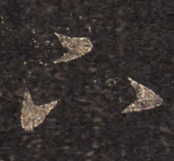 王羲之·草书·下