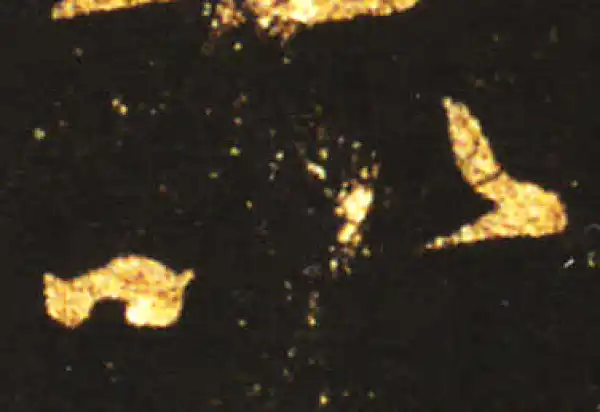 王献之·草书·以