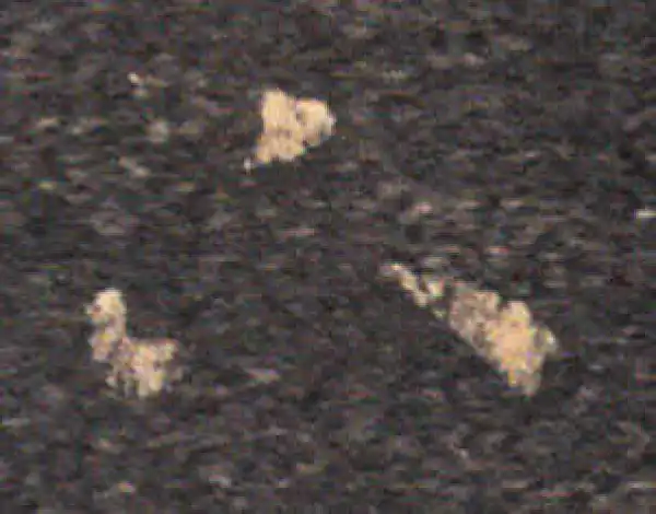 王羲之·草书·下