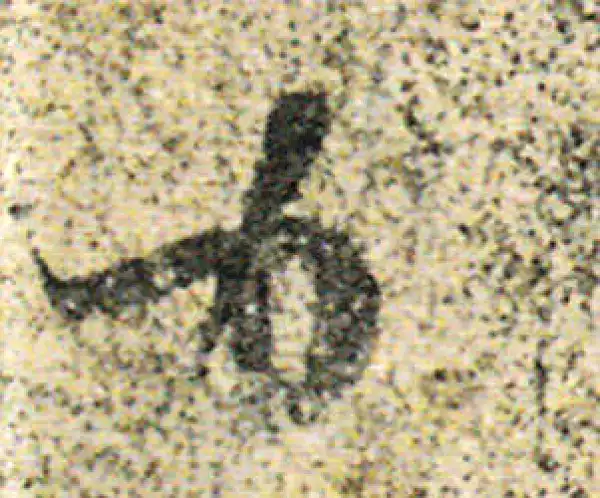 杨凝式·草书·力