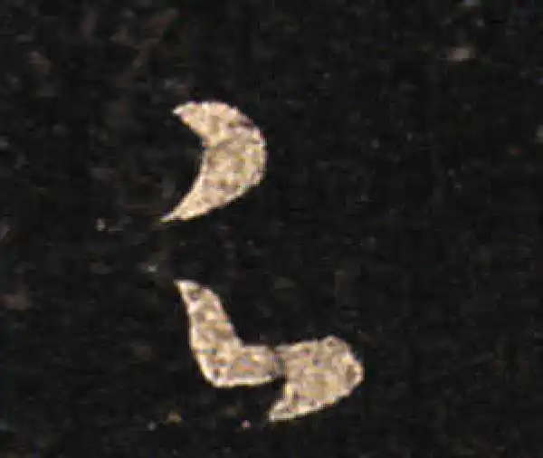 王羲之·草书·足