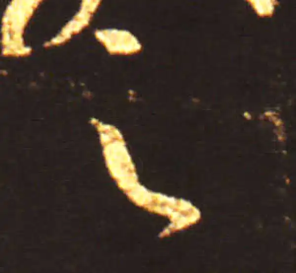 王献之·草书·之