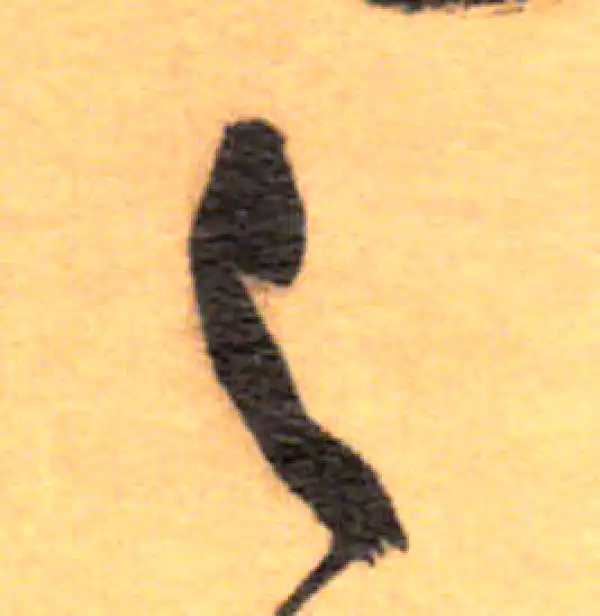 祝允明·草书·之