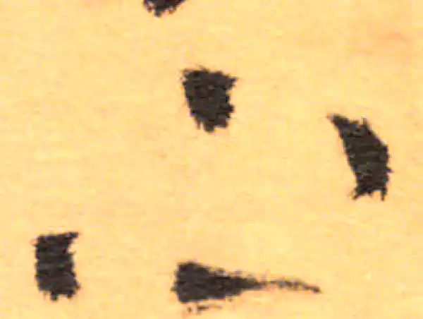 祝允明·草书·下