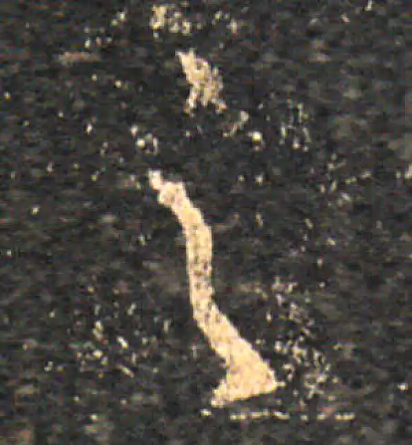 王羲之·草书·足