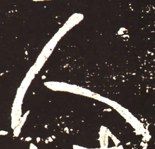 王献之·草书·人