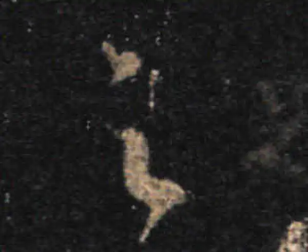 王羲之·草书·足