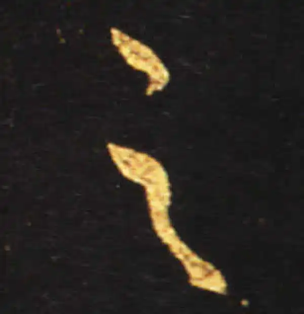 王献之·草书·之