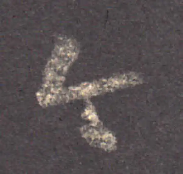 王羲之·草书·今