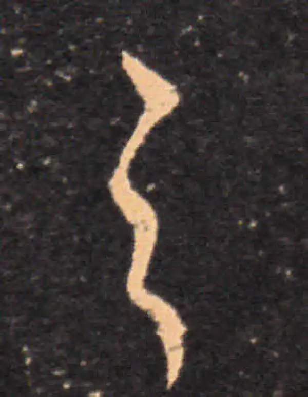 王羲之·草书·之