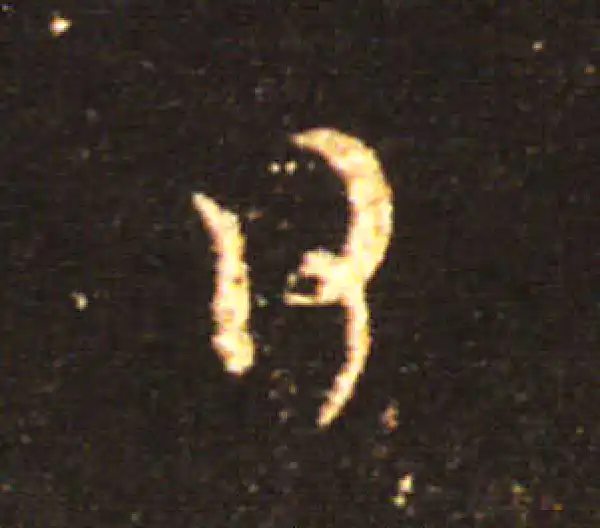 王献之·草书·日