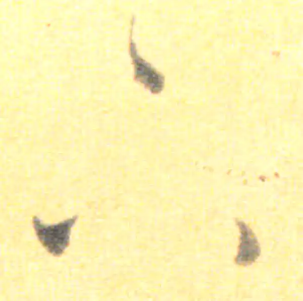 王羲之·草书·下