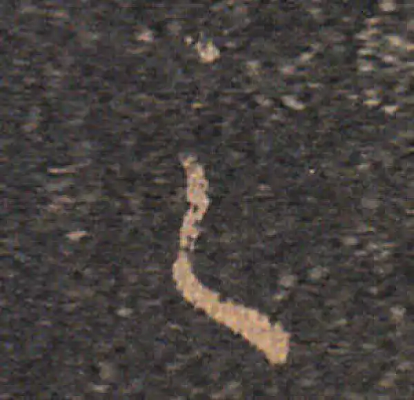 王羲之·草书·之