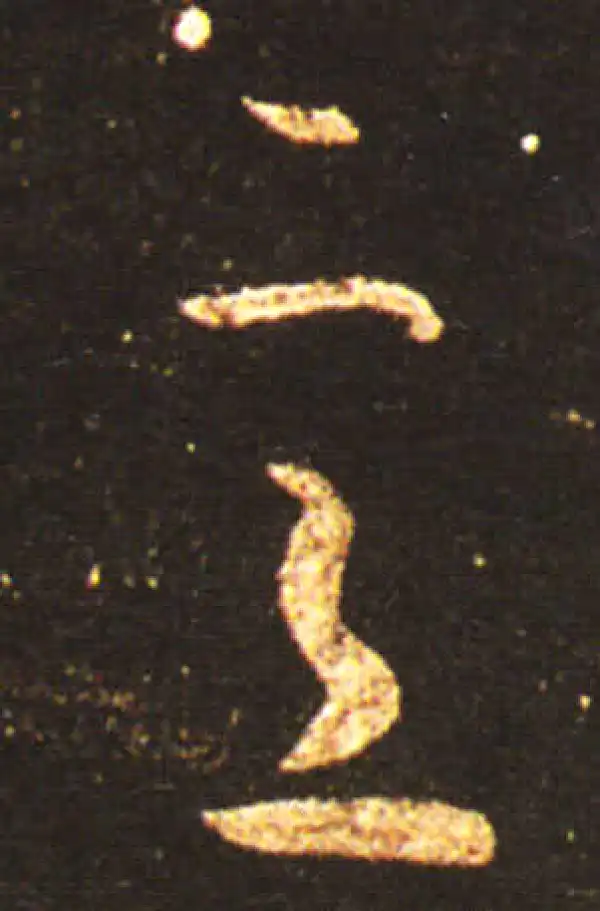 王献之·草书·意