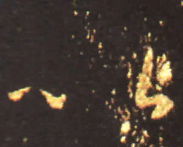 王献之·草书·以