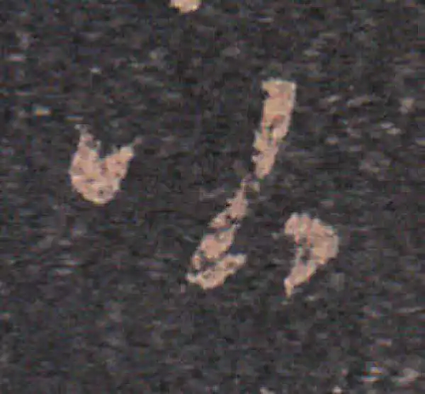 王羲之·草书·公