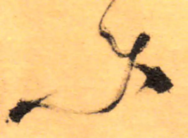 祝允明·草书·樂