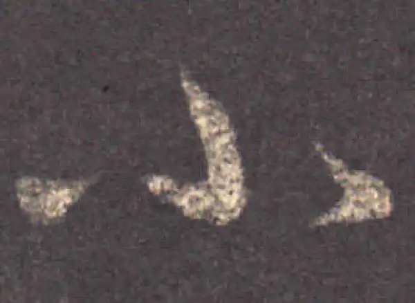 王羲之·草书·小