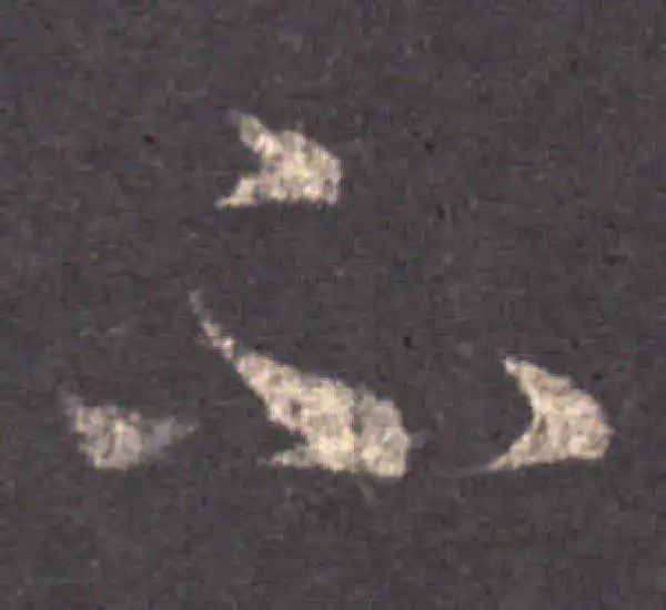 王羲之·草书·不