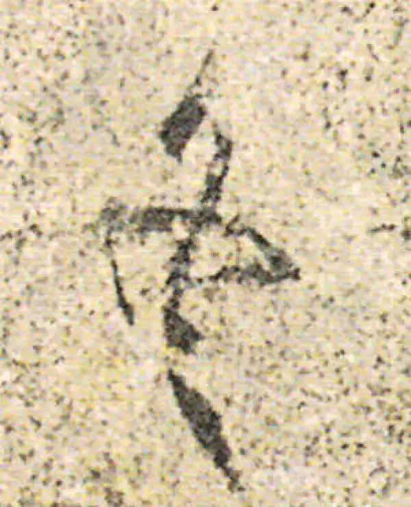 杨凝式·草书·冬