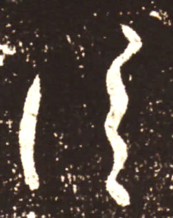 王献之·草书·信