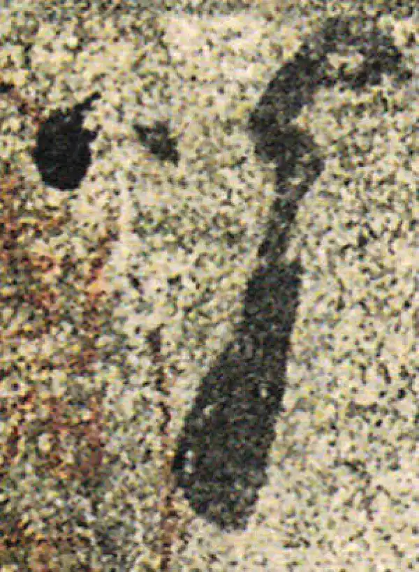 杨凝式·草书·背