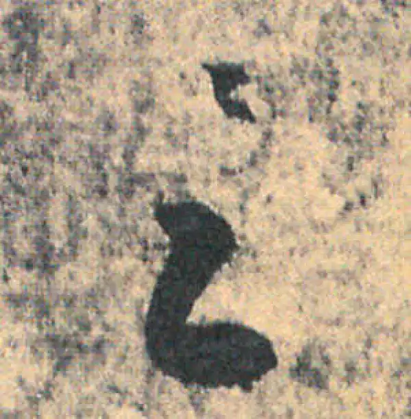 王羲之·草书·足