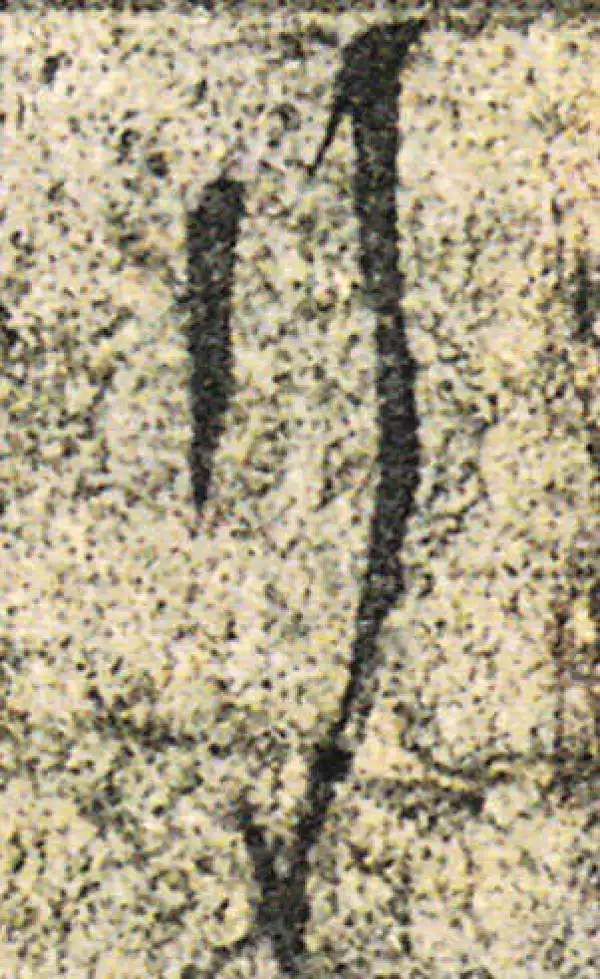 杨凝式·草书·行