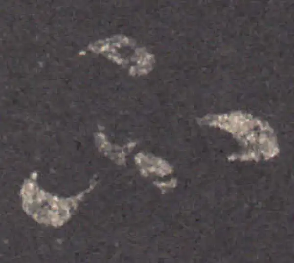 王羲之·草书·不