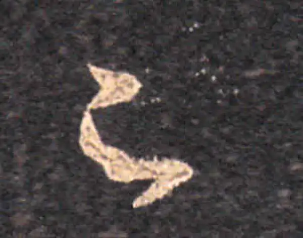 王羲之·草书·足