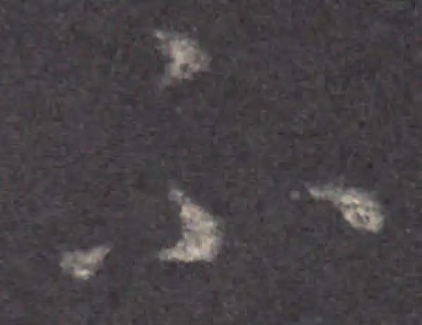 王羲之·草书·不