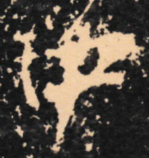 王羲之·草书·中