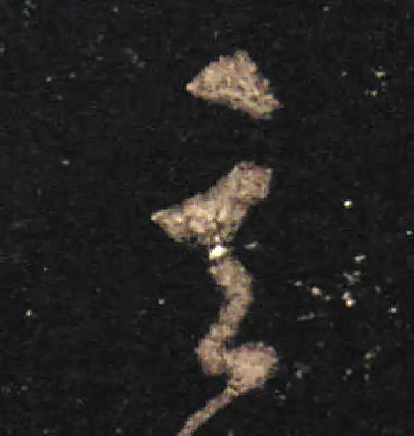 王羲之·草书·玄